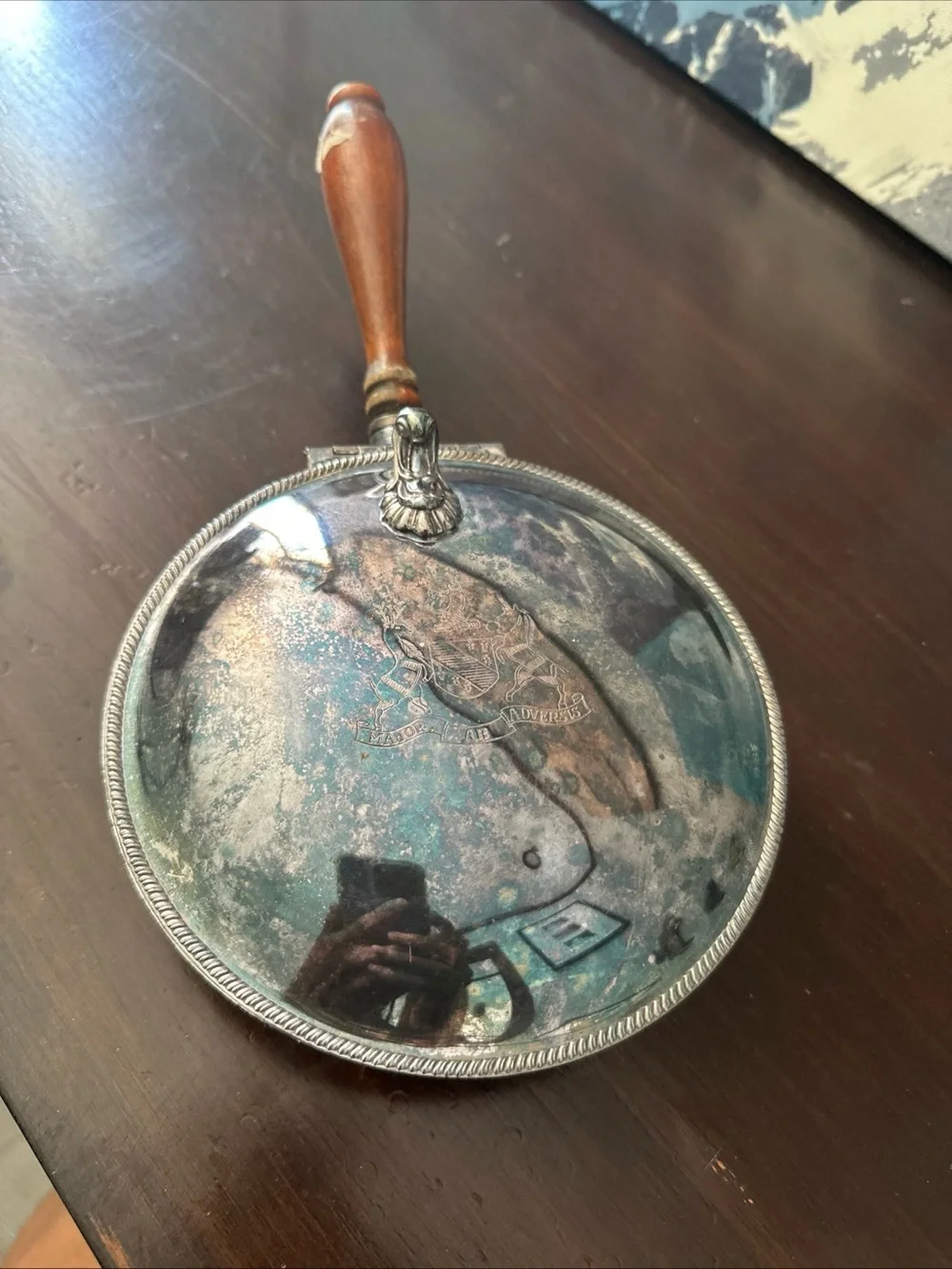 Vintage Silver Plated Crumb Catcher Wooden Handle